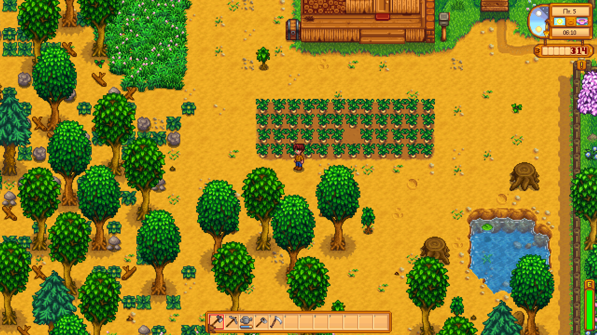 Stardew valley обустройство дома