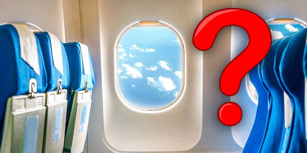 В восторге от BoredApe или CryptoPunk NFT? Убедитесь, что вы понимаете объем своих прав — Крипто на vc.ru