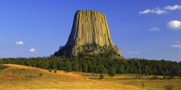 В восторге от BoredApe или CryptoPunk NFT? Убедитесь, что вы понимаете объем своих прав — Крипто на vc.ru