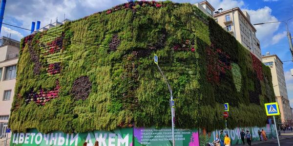 Что такое архитектура NFT и чем она отличается от обычных 3D-моделей?